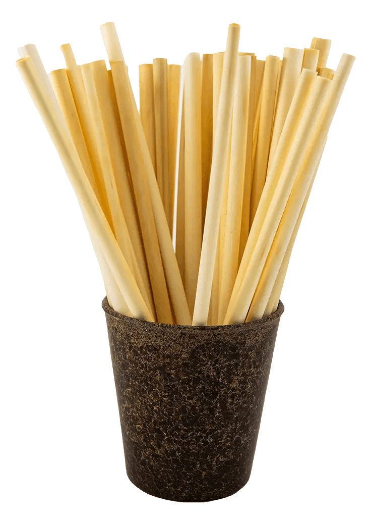 Plant Straws Medium – plantstraws